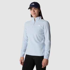 The North Face 100 Glacier 1/4 Zip Fleece Dusty Periwinkle | VESNZF-283