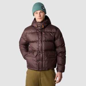 The North Face 71 Sierra Down Short Jacket Coal Brown | OIJCEP-214