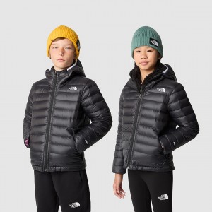 The North Face Aconcagua Hooded Down Jacket Tnf Black - Tnf White | SGEVYA-480