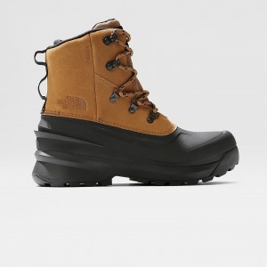 The North Face Chilkat V Lace Waterproof Hiking Boots Utility Brown/Tnf Black | ESWQVR-734