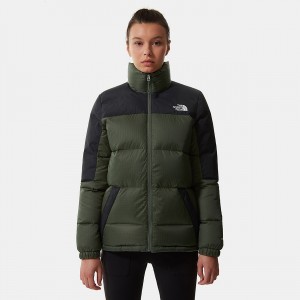 The North Face Diablo Down Jacket Thyme - Tnf Black | SHXGYR-975