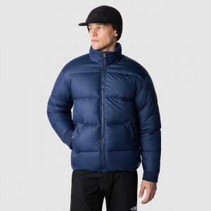 The North Face Down Paralta Puffer Jacket Summit Navy | DVGWIX-304