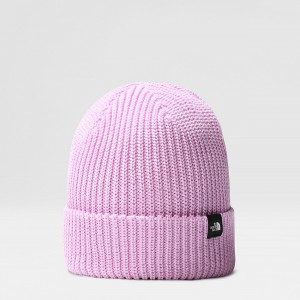 The North Face Fisherman Beanie Lupine | POCXTH-804