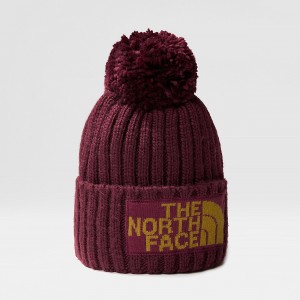 The North Face Heritage Ski Tuke Beanie Boysenberry - Sulphur Moss | NIKCYP-093