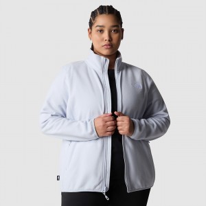 The North Face Plus Size 100 Glacier Full-Zip Fleece Dusty Periwinkle | AEYDNZ-069