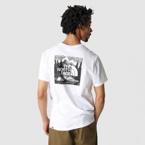 The North Face Redbox Celebration T-Shirt Tnf White | BEIAQJ-769