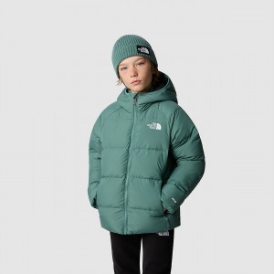 The North Face Reversible North Down Hooded Jacket Dark Sage | DQSMCI-076