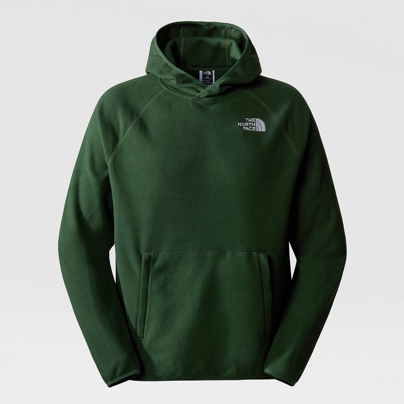 The North Face 100 Glacier Fleece Hoodie Pine Needle | IFKXEO-421