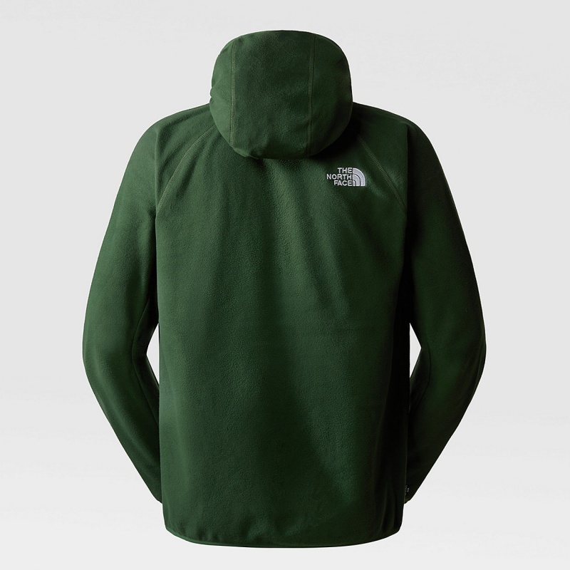 The North Face 100 Glacier Fleece Hoodie Pine Needle | IFKXEO-421