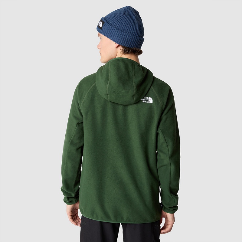 The North Face 100 Glacier Fleece Hoodie Pine Needle | IFKXEO-421