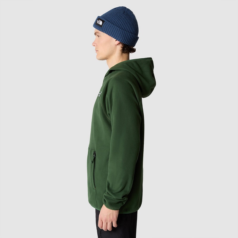 The North Face 100 Glacier Fleece Hoodie Pine Needle | IFKXEO-421