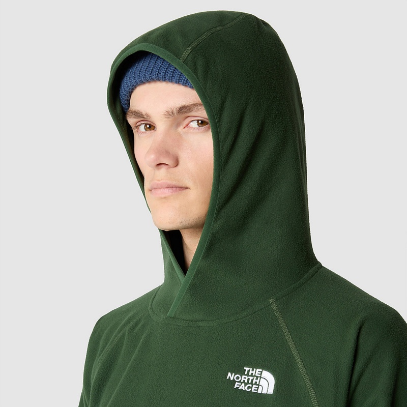 The North Face 100 Glacier Fleece Hoodie Pine Needle | IFKXEO-421