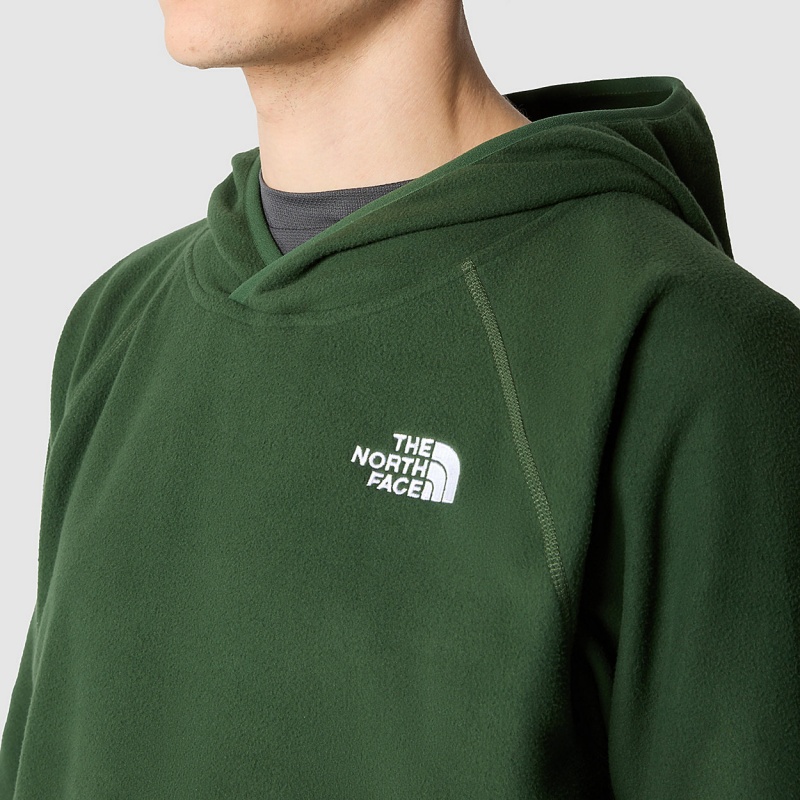 The North Face 100 Glacier Fleece Hoodie Pine Needle | IFKXEO-421