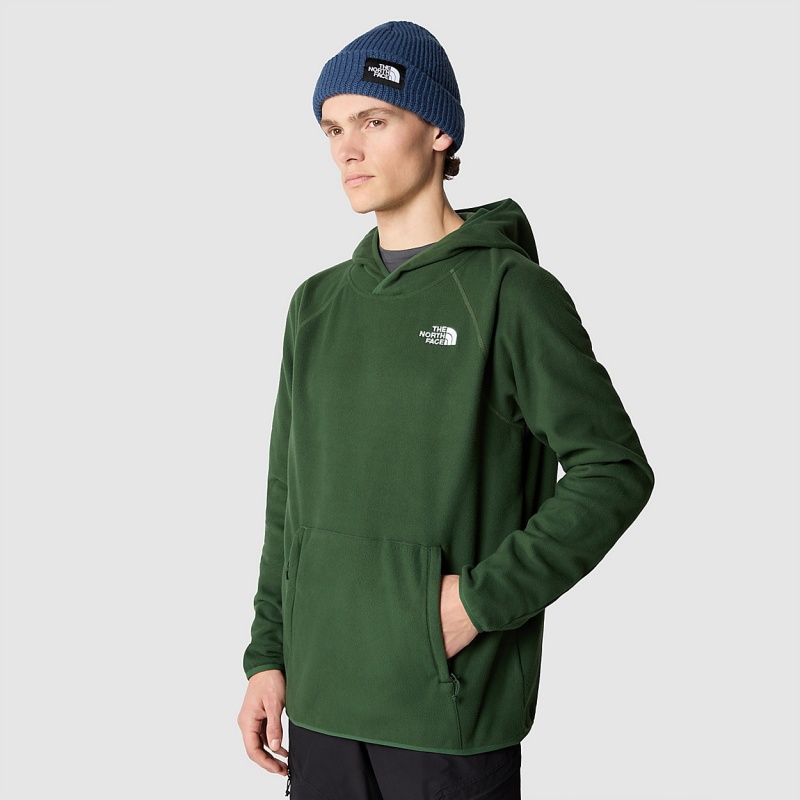 The North Face 100 Glacier Fleece Hoodie Pine Needle | IFKXEO-421