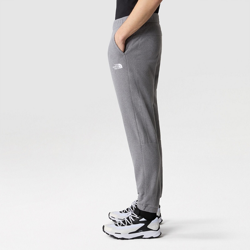 The North Face 100 Glacier Joggers Tnf Medium Grey Heather | VGTNKO-769