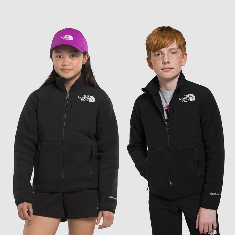 The North Face Denali Jacket Tnf Black | XITZOV-162