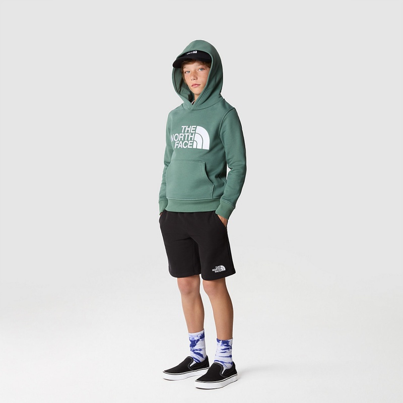 The North Face Drew Peak Hoodie Dark Sage | ZAHRPO-493