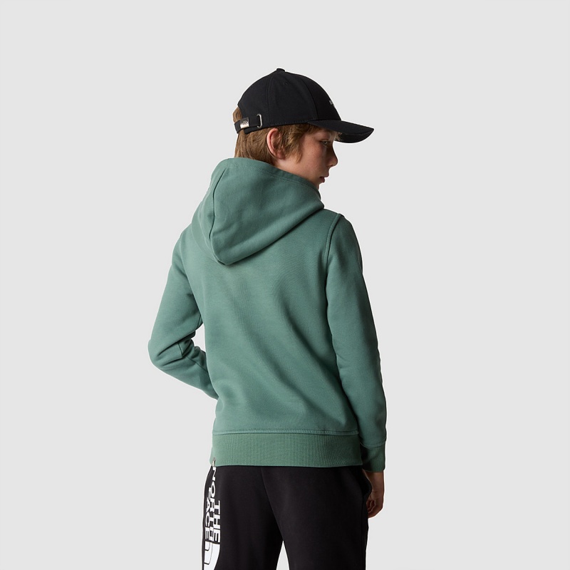 The North Face Drew Peak Hoodie Dark Sage | ZAHRPO-493