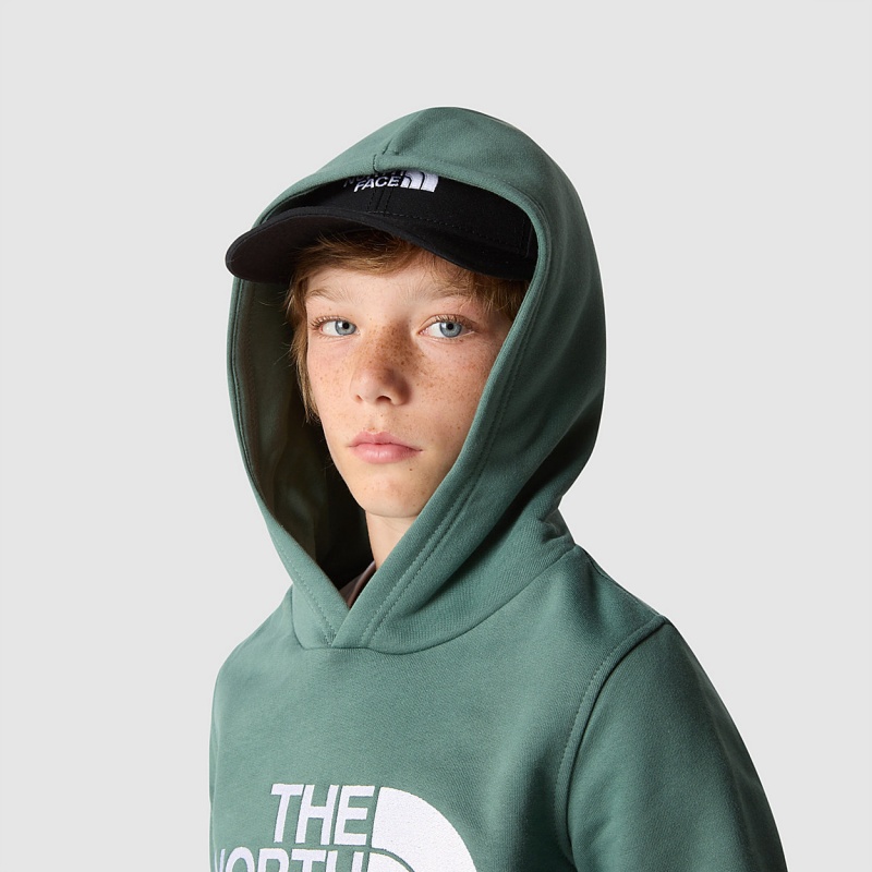 The North Face Drew Peak Hoodie Dark Sage | ZAHRPO-493