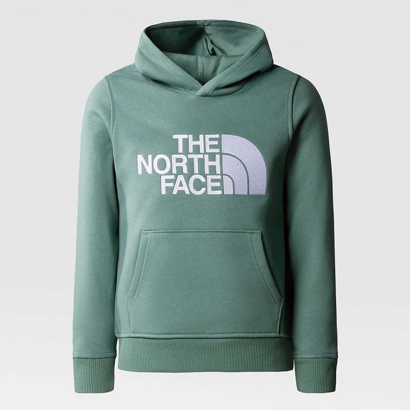 The North Face Drew Peak Hoodie Dark Sage | ZAHRPO-493