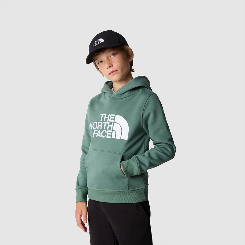 The North Face Drew Peak Hoodie Dark Sage | ZAHRPO-493