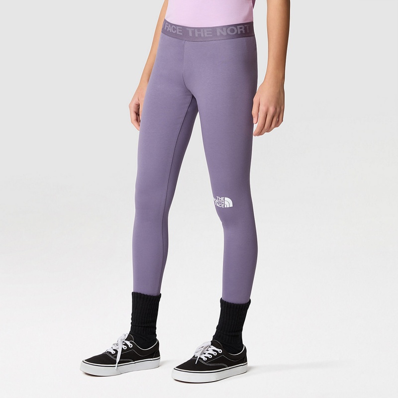 The North Face Everyday Leggings Lunar Slate | BPLWHQ-658