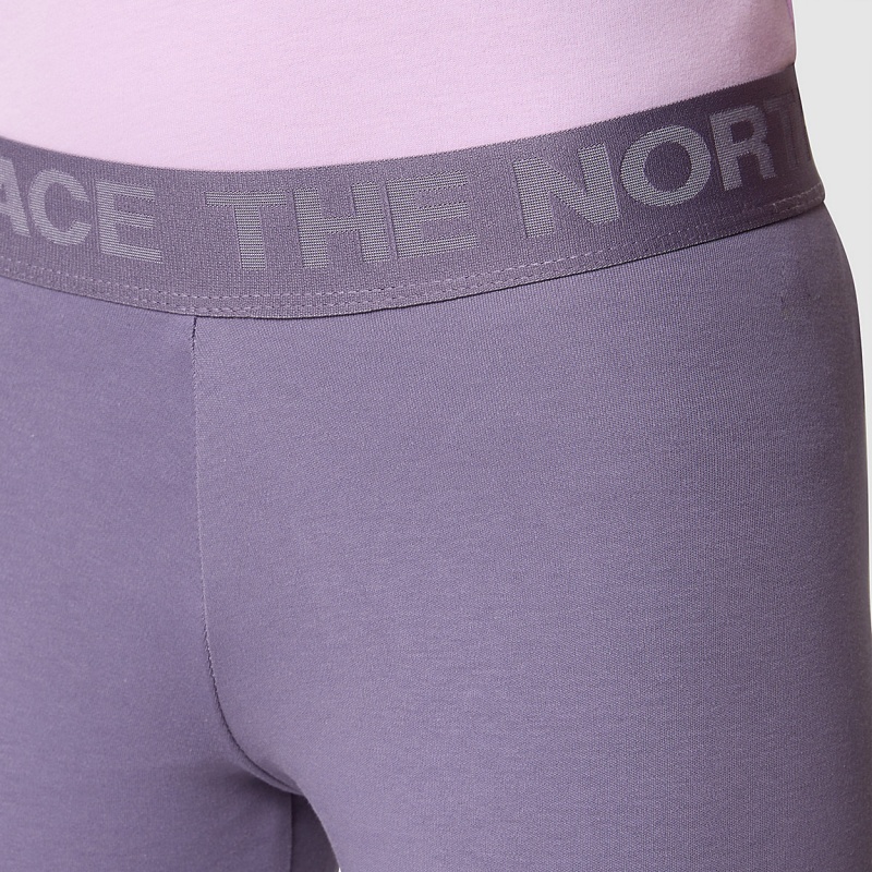 The North Face Everyday Leggings Lunar Slate | BPLWHQ-658