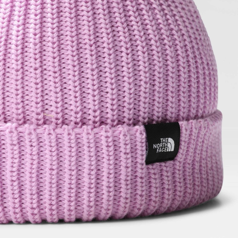 The North Face Fisherman Beanie Lupine | POCXTH-804