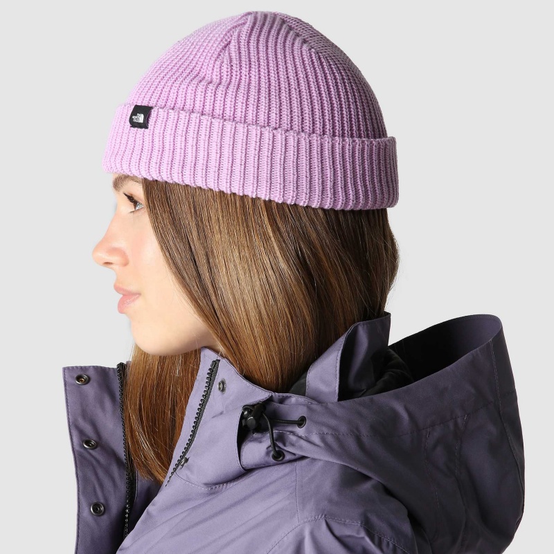 The North Face Fisherman Beanie Lupine | POCXTH-804