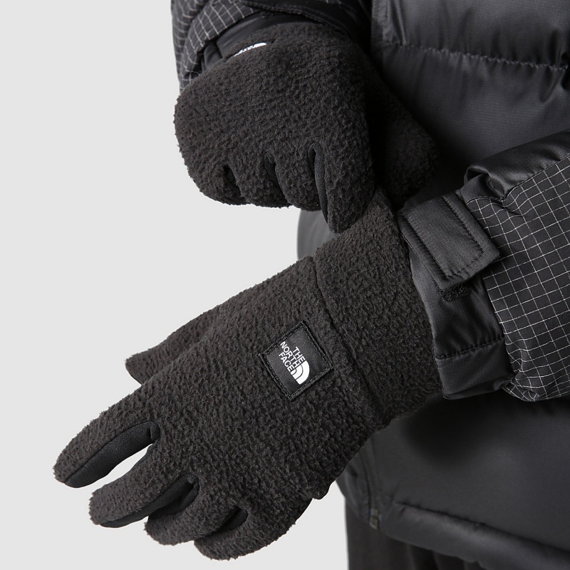 The North Face Fleeski Etip™ Gloves Tnf Black | VSCTNG-681