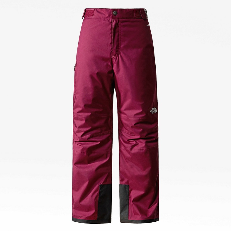 The North Face Freedom Insulated Trousers Boysenberry | CKDMUH-138