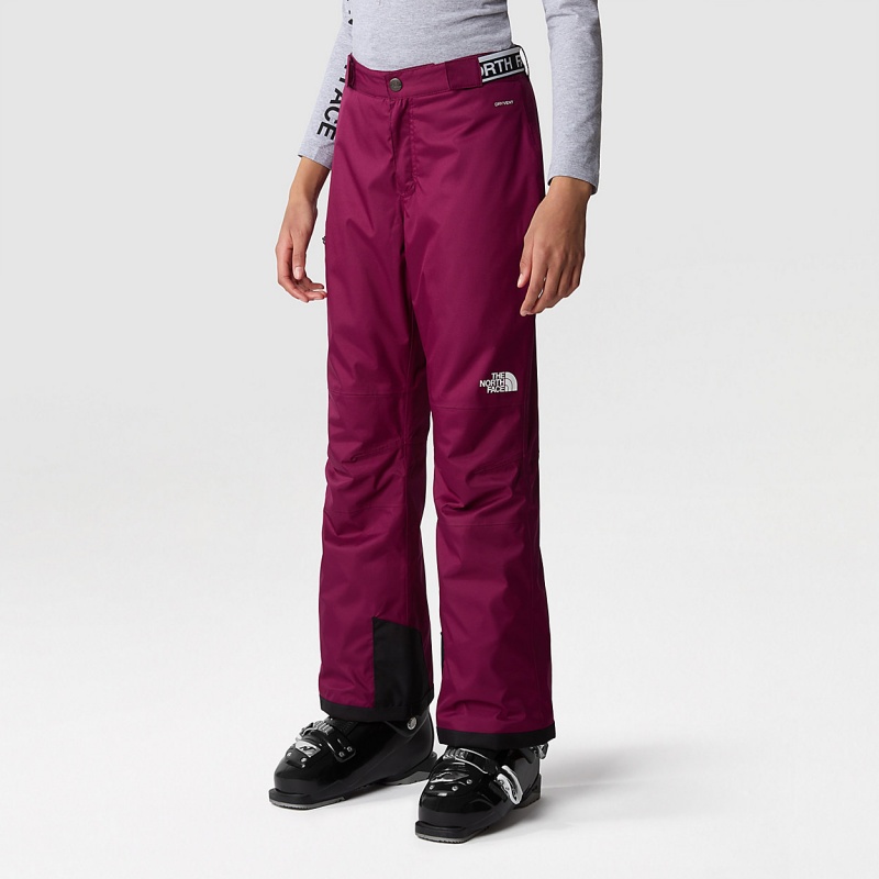 The North Face Freedom Insulated Trousers Boysenberry | CKDMUH-138