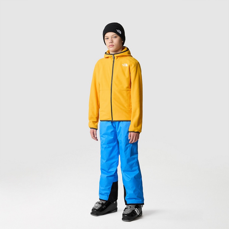 The North Face Glacier Full-Zip Hooded Jacket Summit Gold | EBRDKX-564