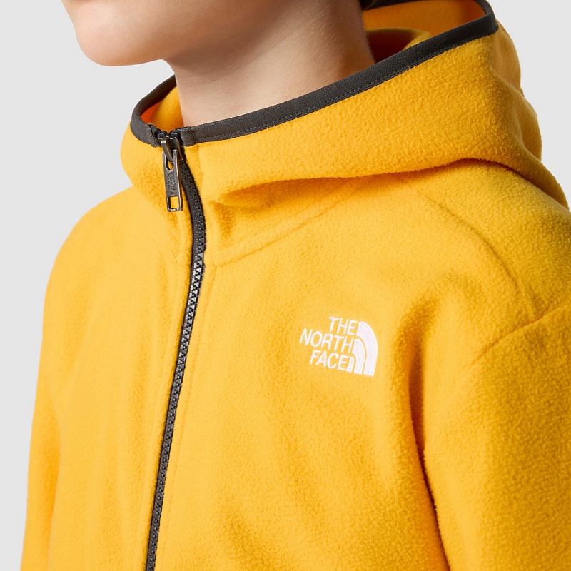 The North Face Glacier Full-Zip Hooded Jacket Summit Gold | EBRDKX-564