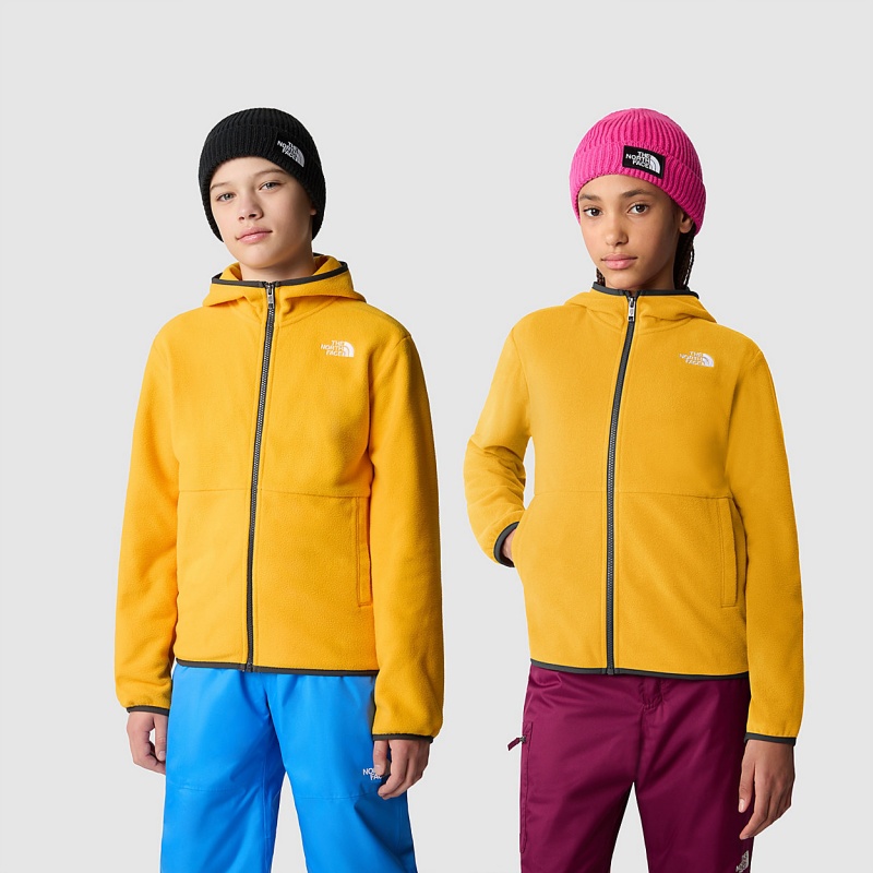 The North Face Glacier Full-Zip Hooded Jacket Summit Gold | FHZUOV-753