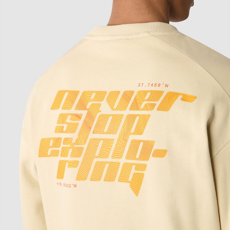 The North Face Graphic Sweater Gravel | VQODXU-903