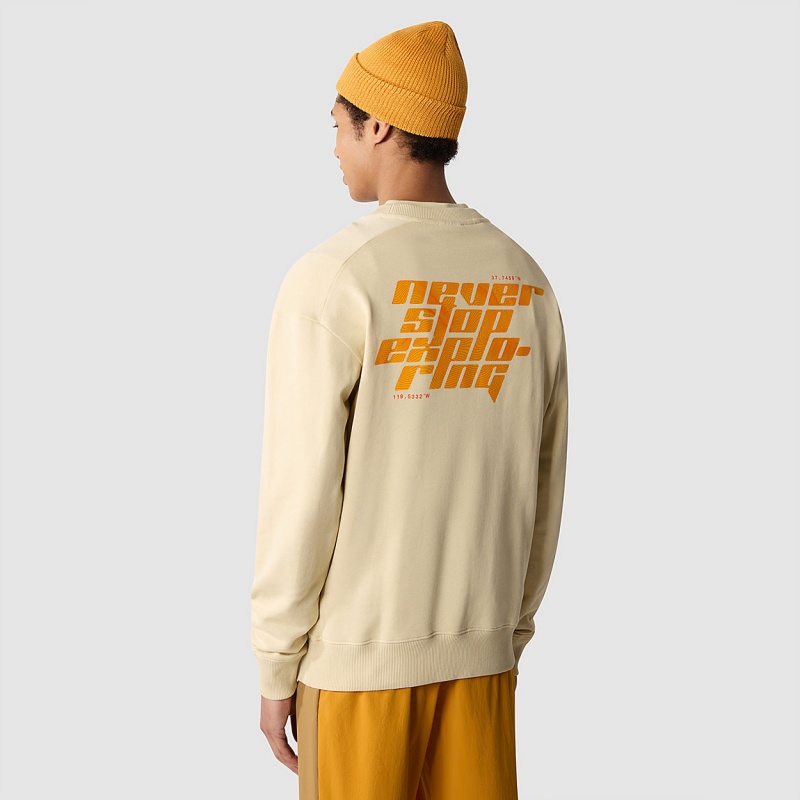 The North Face Graphic Sweater Gravel | VQODXU-903