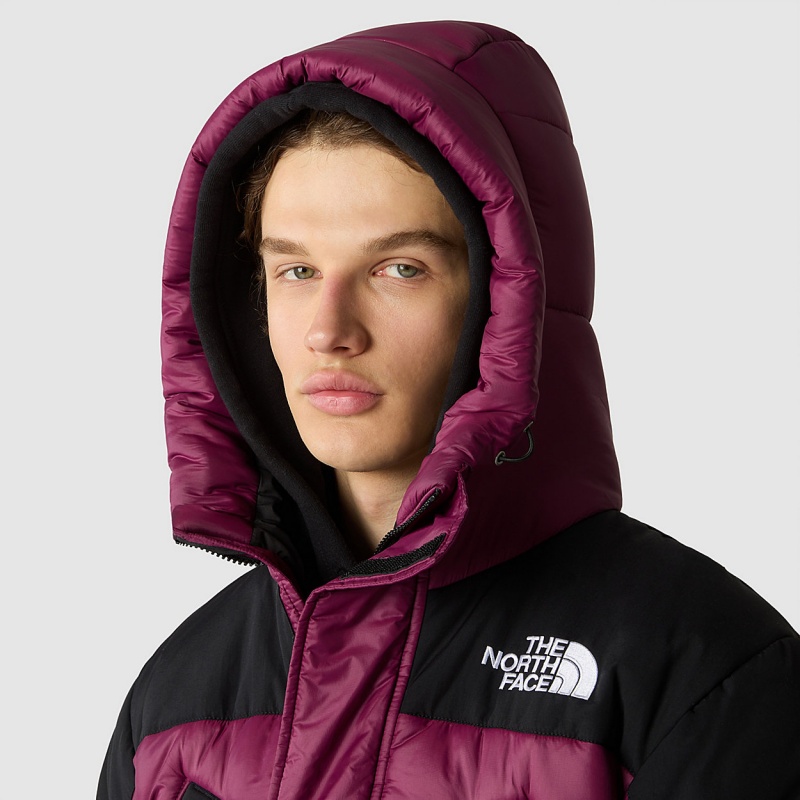 The North Face Himalayan Insulated Parka Boysenberry/Tnf Black | XSWKUQ-157