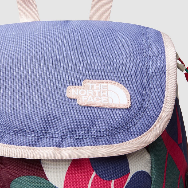 The North Face Mini Explorer Backpack Mr. Pink Big Abstract Print - Cave Blue - Pink Moss | ZJMTRW-016