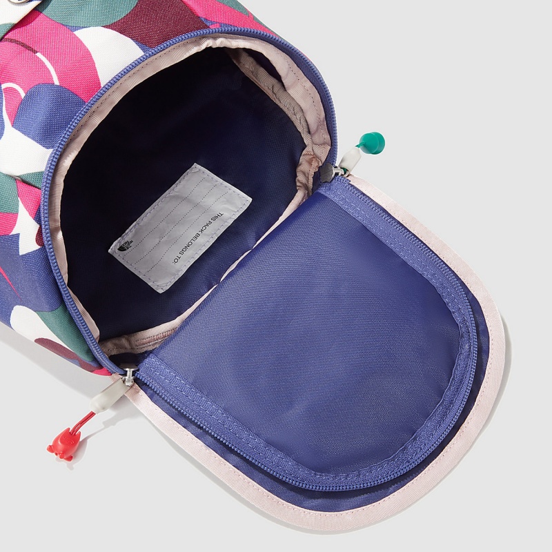 The North Face Mini Explorer Backpack Mr. Pink Big Abstract Print - Cave Blue - Pink Moss | ZJMTRW-016