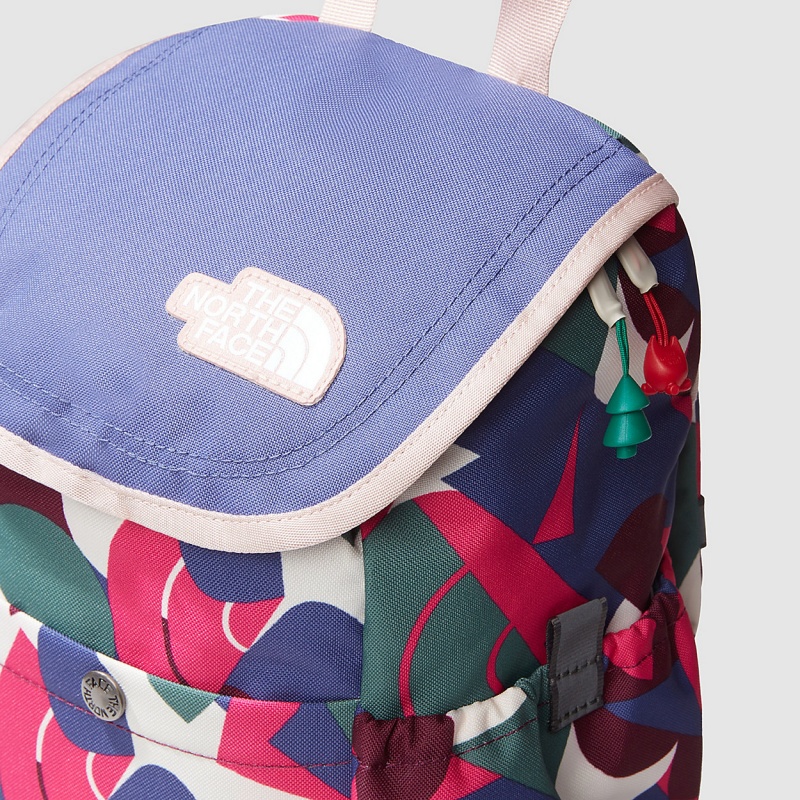 The North Face Mini Explorer Backpack Mr. Pink Big Abstract Print - Cave Blue - Pink Moss | ZJMTRW-016