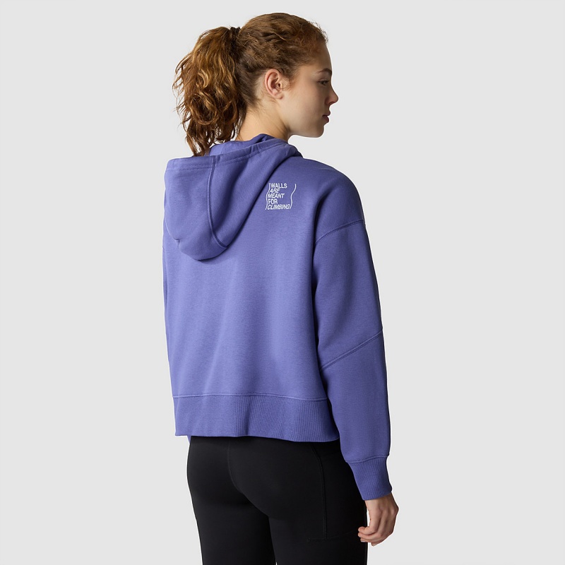 The North Face Outdoor Graphic Hoodie Cave Blue | QYBXNU-423