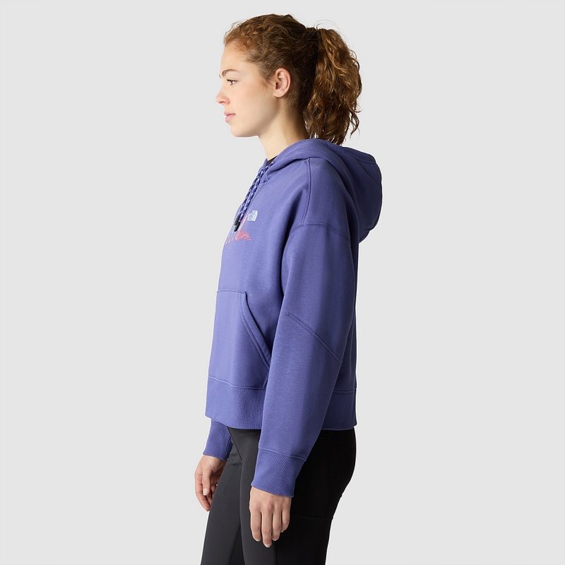 The North Face Outdoor Graphic Hoodie Cave Blue | QYBXNU-423