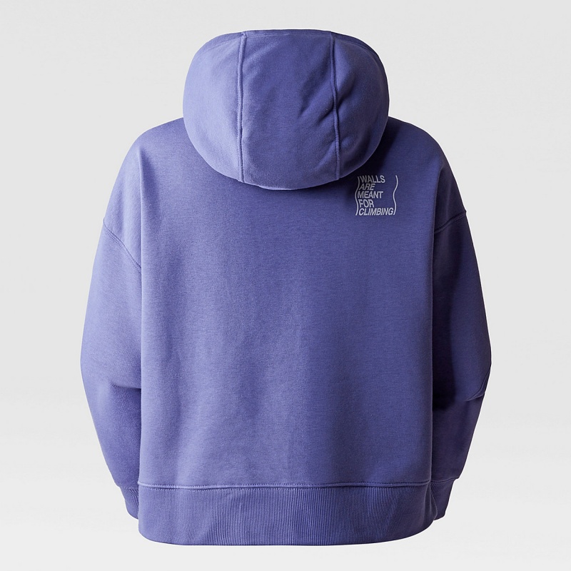 The North Face Outdoor Graphic Hoodie Cave Blue | QYBXNU-423