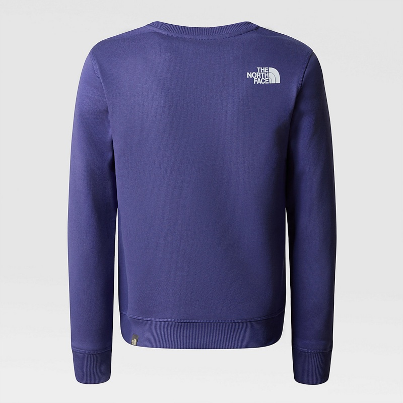 The North Face Redbox Sweater Cave Blue - Asphalt Grey Rain Camo Print | CJGSLZ-586