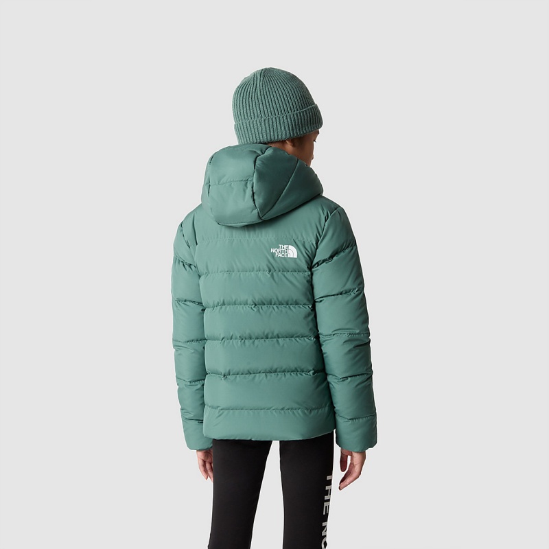 The North Face Reversible North Down Hooded Jacket Dark Sage | VLGQSB-214