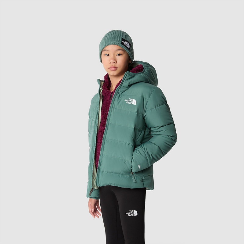 The North Face Reversible North Down Hooded Jacket Dark Sage | VLGQSB-214