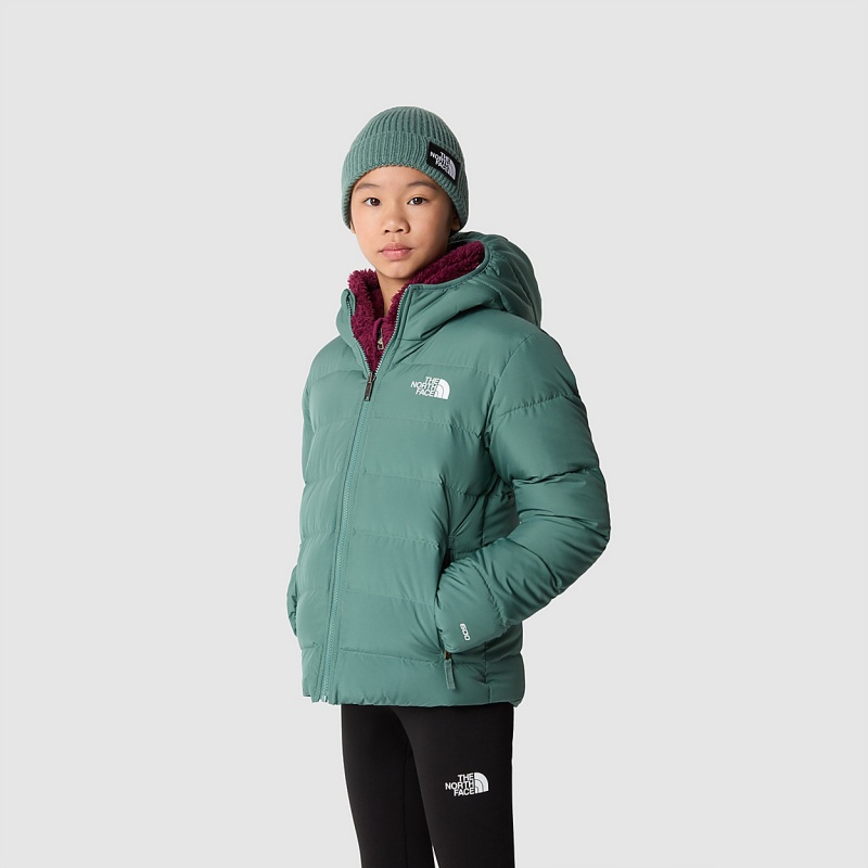 The North Face Reversible North Down Hooded Jacket Dark Sage | VLGQSB-214