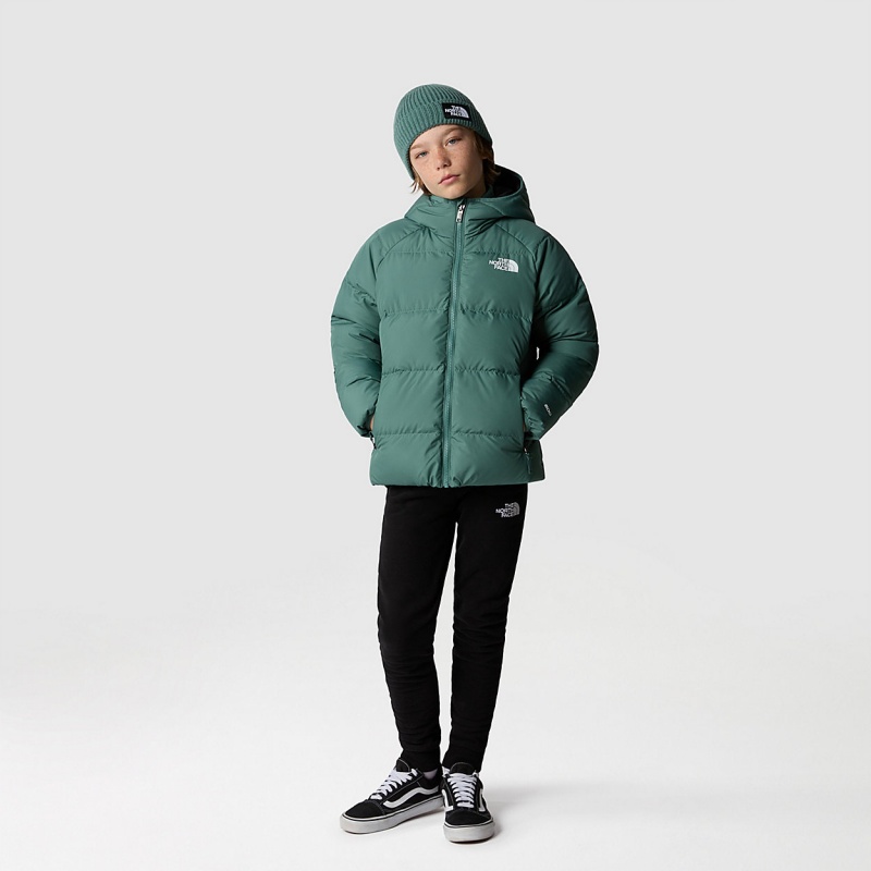 The North Face Reversible North Down Hooded Jacket Dark Sage | DQSMCI-076