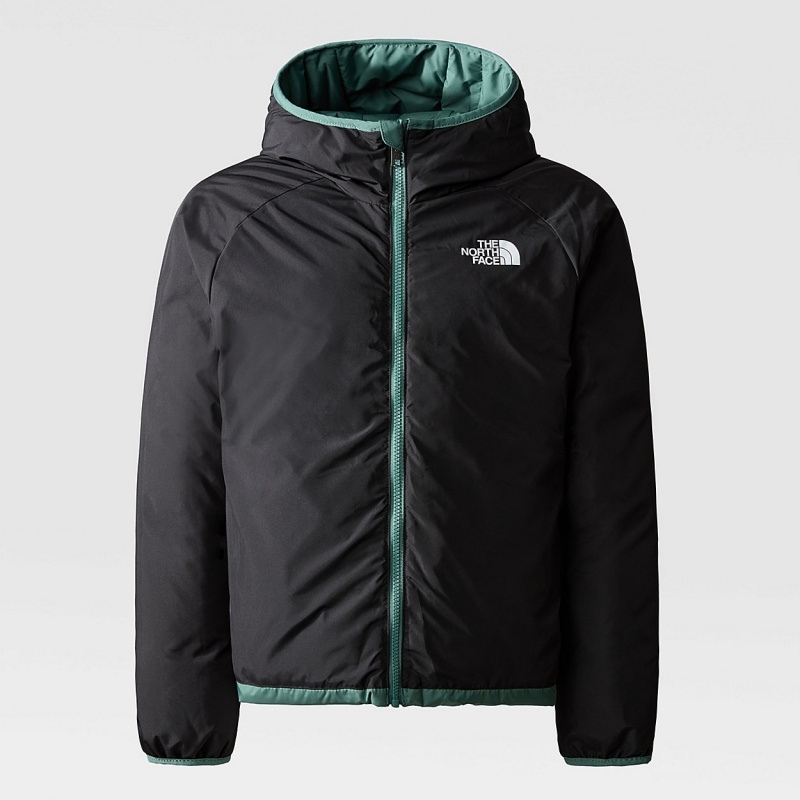 The North Face Reversible North Down Hooded Jacket Dark Sage | DQSMCI-076